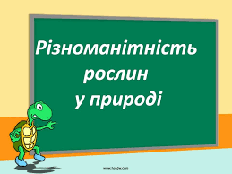 Картинки по запросу картинка різноманіття рослин