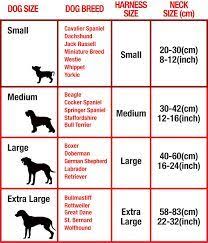 28 All Inclusive Sizing Chart For Dogs