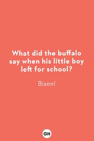 23 of them, in fact! The 80 Best Jokes For Kids Family Friendly Gags Knock Knock Jokes And Puns