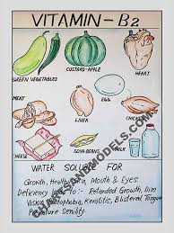 buy vitamin b2 charts online buy vitamin b2 charts online