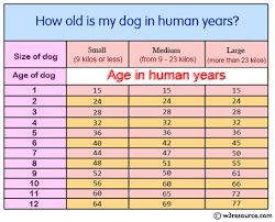 Because for calculating age, the size and weight of the dog are much more important. Python Exercise Calculate A Dog S Age In Dog S Years W3resource