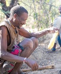 Image result for Vigna frutescens