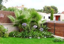 parterre jardin balinais amenagement jardin idee amenagement jardin