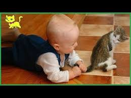 Gatti Divertenti Aœª Gatti E Bambini Divertenti Che Giocano Insieme 14 Youtube Komik Sevimli Hayvan Yavrulari Hayvan