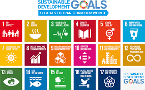 Contribution To Sustainable Development Goals