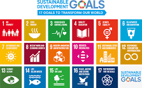 contribution to sustainable development goals