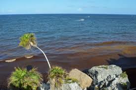 En quintana roo construyeron varias barreras en el mar contra el sargazo y también están. Tulum De Destino Turistico Numero Uno A Paraiso De Sargazo El Maya