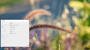 Leverage progressive web apps, android apps, chrome extensions, and more on chrome os devices. Budgie Desktop Brings Chrome Os Style Layout To Linux
