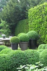Pin Van Haute Design London Op Haute Jardin Buxus Tuin Tuin Ideeen Tuin