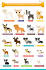 Top 100 Girl Dog Names — Which One Is Your Favorite?