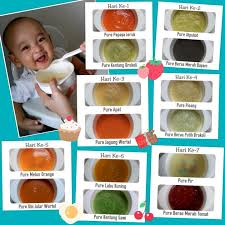 Mpasi 6bulan Baby Puree Makanan Sehat Balita Makanan Bayi