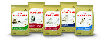 enter the royal canin cat pinterest contest to win cat goodies and 100 gift card http on fb me gbc597