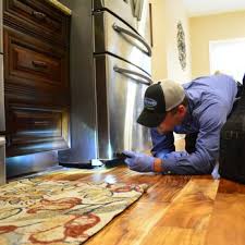 Our community is ready to answer. Active Pest Control 17 Photos 14 Reviews Pest Control 115 Mt Carmel Road Mcdonough Ga Phone Number Yelp