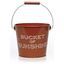 This Is So Cute New Range At Wilkinson S Wilko Sustain Get Outdoors Planter Bucket Burnt Orange Small Metal Planter Wilko Metal Planters Outdoor Gardens