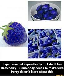 Japan Created A Genetically Mutated Blue Strawberry Somebody Needs To Make Sure Percy Doesn T Learn About This Japan Created A Genetically Mutated Blue Str Blue Strawberry Percy Jackson Fandom Percy