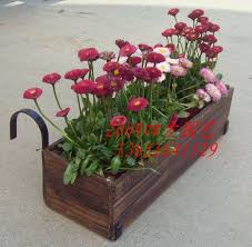 Hanging Flower Box Flower Pot Flower Diaopen Hanging Pots Hanging Basket Hanging Flower Gardening Supplies W Railing Flower Boxes Flower Boxes Diy Flower Boxes