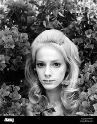 Hunter carson hi-res stock photography and images