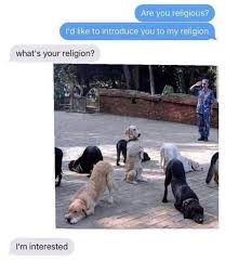 Pin By Star Junglist On Meme Universe Funny Animal Memes Funny Images Funny Memes