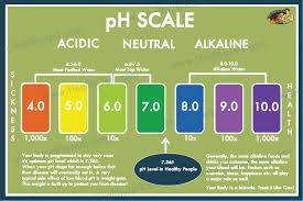 Know Your Ph Levels Infocus247