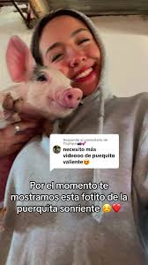Respuesta a @Trujeque📷💕 la puerquita mas querida ☺️💕#puerquitos #v...