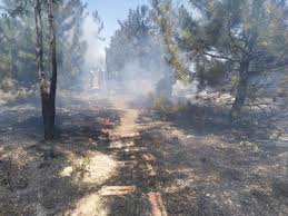 13 hours ago · bir son dakika haberine göre ankara hastanesinin arkasında bulunan otluk alanda çıkan yangın, büyümeden söndürüldü. O2a2ypww9qlvvm