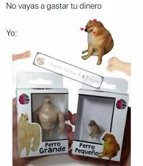 Jajajajaaj Perro Pequeno Jajaajja En 2020 Perros Pequenos Perros Perrito
