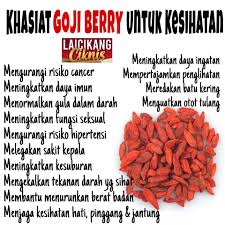 Learn about the potential benefits of goji berry including contraindications, adverse reactions goji berry. Khasiat Goji Berry Untuk Kesihatan Laicikang Ciknis Hq Facebook