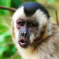 Jack Solís (@yakkios) • Instagram photos and videos