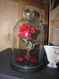 Enchanted Rose Glass Dome Realistic Rose And Rose Petals From Hobby Lobby Drilled An Angled Hole In The Base Enchanted Rose Realistic Rose Rose Stem
