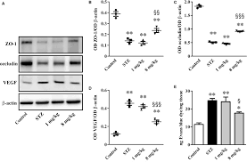 We would like to show you a description here but the site won't allow us. Inhibiting The Urokinase Type Plasminogen Activator Receptor System Recovers Stz Induced Diabetic Nephropathy Dal Monte 2019 Journal Of Cellular And Molecular Medicine Wiley Online Library