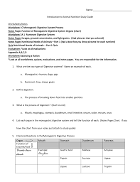 Introduction To Animal Nutrition Study Guide Answers
