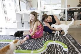 Bonus points if you like cats! We Make A Visit To Kitty Cantina Spokane S First Cat Cafe Spokane Slideshows The Pacific Northwest Inlander News Politics Music Calendar Events In Spokane Coeur D Alene And The Inland Northwest
