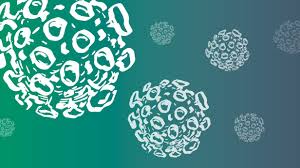 Wie die kreisverwaltung berichtete, war dem gesundheitsamt am vortag. Aktuelle Corona Informationen