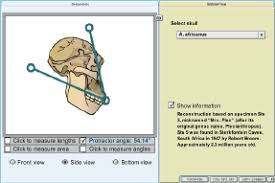 Student exploration natural selection gizmo answer key. Natural Selection Ict Innovators