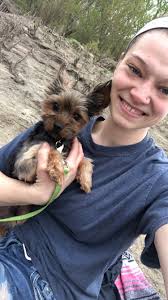 Lost dog Zeus in Jefferson City