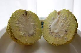 Straighter answer is, hedge apples, also known as osage oranges are inedible. Hedge Apple Halved Also Call Horse Apples Stink Apples And Osage Oranges Those 3 To 5 Inch Green Things That Look Like A Cross Between A Softball And A Brain Smelly Sticky