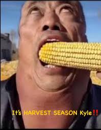 Kyle's corn obsession Dickinson, ND