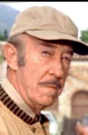 Дон Броди (Don Brodie): фильмы, биография, семья, фильмография — Кинопоиск