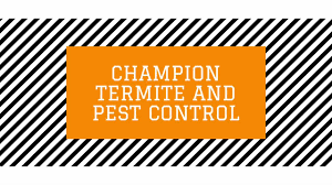 Champion pest control's technicians are trained to minimize pesticide exposure to children and pets. Champion Termite And Pest Control Home Facebook