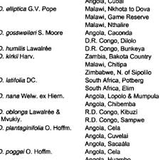 Image result for Macledium poggei