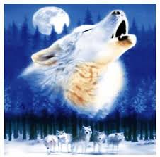 Shop with afterpay on eligible items. Native American Wolf Indian Princess Chief With Wolf Animals Indian Chief With Wolf Native American Blanket Native American Wolf Indian Wolf