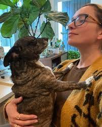 Aiesha Bailey's Instagram, Twitter & Facebook