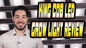 Maybe you would like to learn more about one of these? The King Cob Chip On Board Led Grow Light Review Youtube