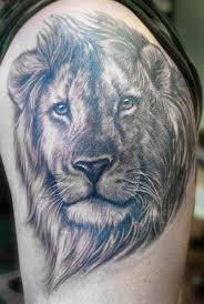Antetokounmpo's ceiling is so high, not even he can envision it. Lion Tattoo By Shane Oneill Post 9875