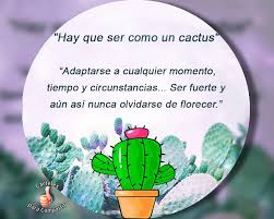 Resultados de la búsqueda significado de soñar con que te regalen cactus … significa virilidad sexual, la seducción, la sensualidad, la vanidad, y la salud. Hay Que Ser Como Un Cactus Imagenes Con Frases Para Compartir En Facebook Frases De Cactus Cactus Regalar Plantas