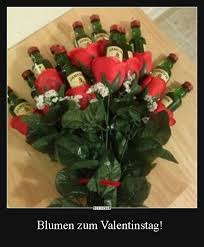 Blumen Zum Valentinstag Lustige Bilder Spruche Witze Echt Lustig Valentinstag Spruche Lustige Valentinstag Spruche Valentinstag Blumen
