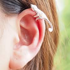 pin on earrings