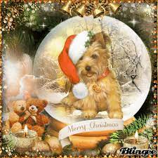 Happy Doggy Merry Christmas Gif Pictures, Photos, and Images for Facebook,  Tumblr, Pinterest, and Twitter