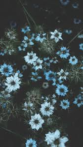 See more ideas about flower wallpaper, iphone wallpaper, floral. Aesthetic Spring 3d Flower Iphone Wallpapers Wallpaper Cave