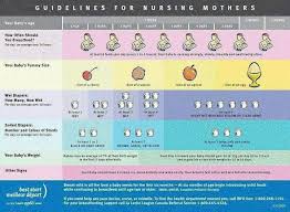 Good Chart To Demonstrate Newborn Babys Belly Size And Wet